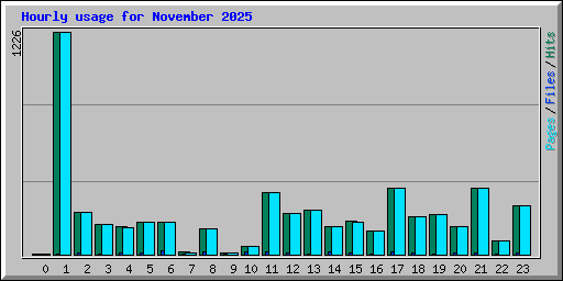 Hourly usage for November 2025
