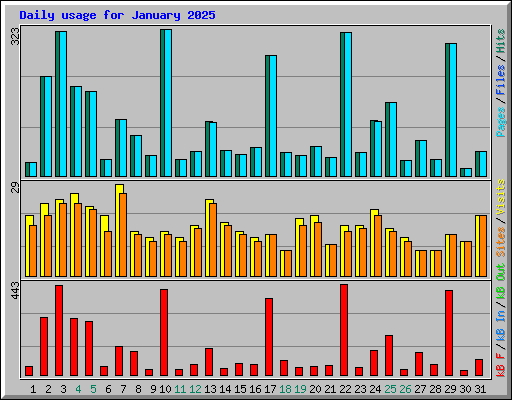 Daily usage for January 2025