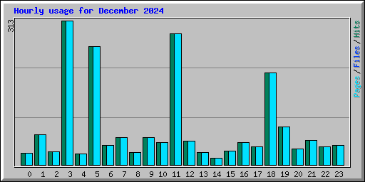 Hourly usage for December 2024