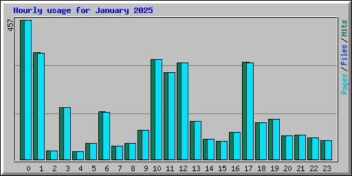 Hourly usage for January 2025
