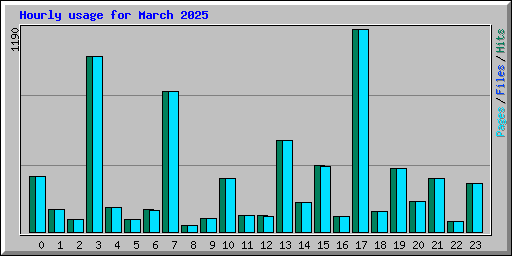 Hourly usage for March 2025