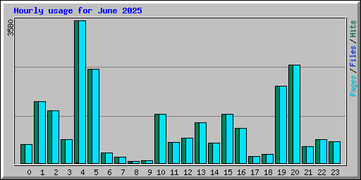 Hourly usage for June 2025