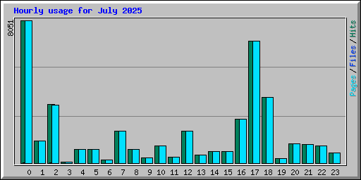 Hourly usage for July 2025