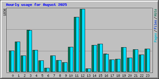 Hourly usage for August 2025