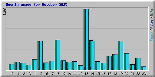 Hourly usage for October 2025